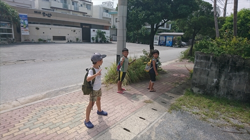 31日・巨大なハモ！